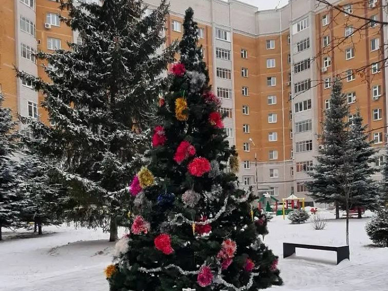 Наступила снежная зима! 